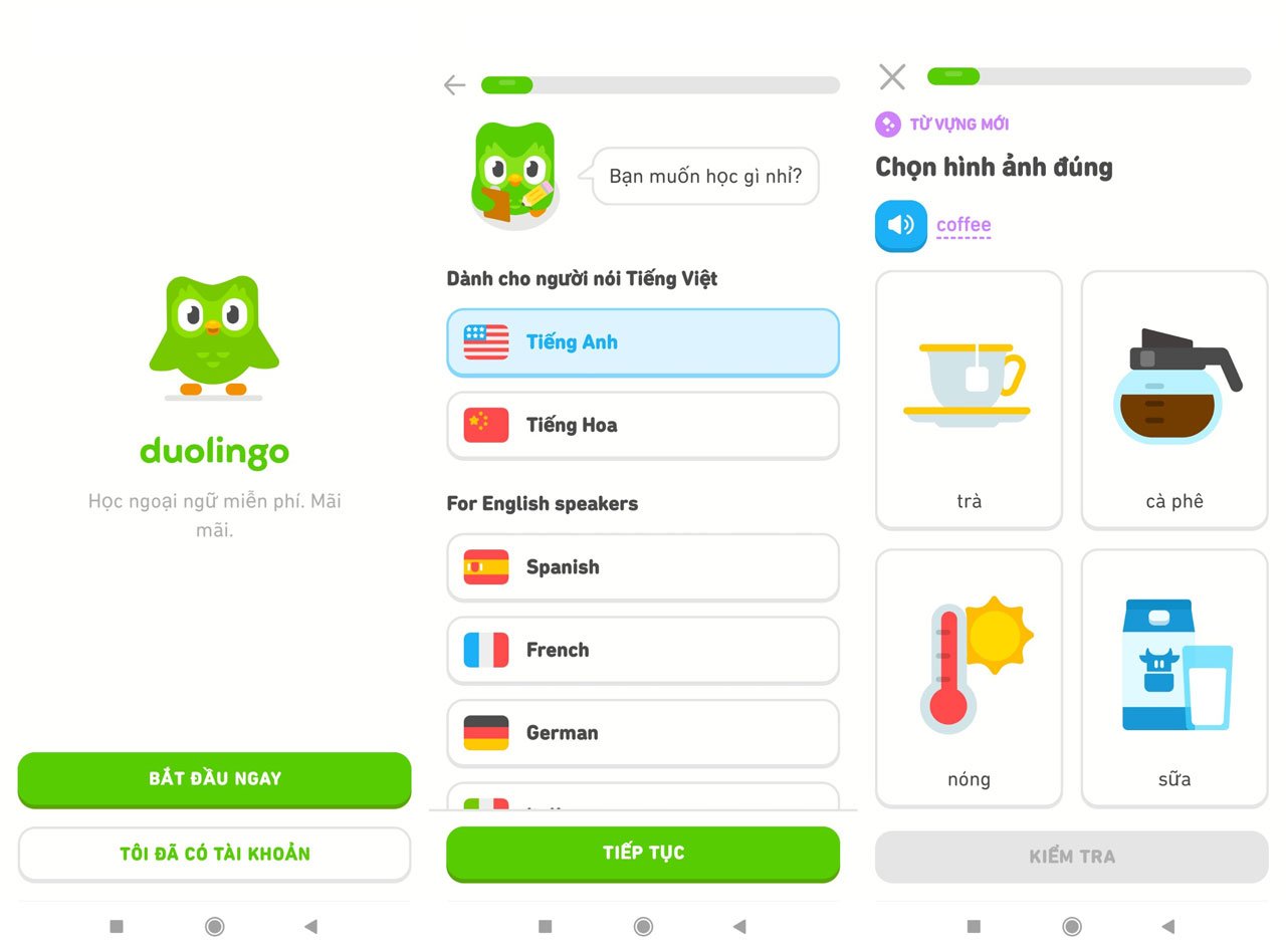 app duolingo 6